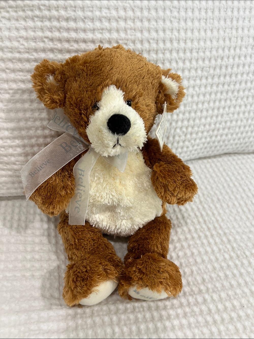 Dog plush toy with tag